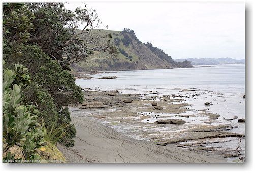 sandstrand im cape rodney okakari point marine reserve