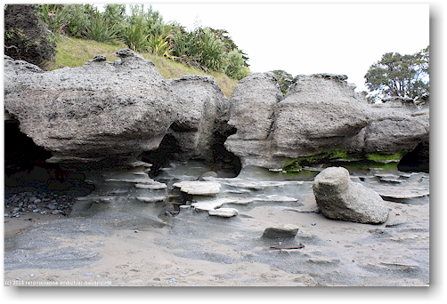 kueste im cape rodney okakari point marine reserve