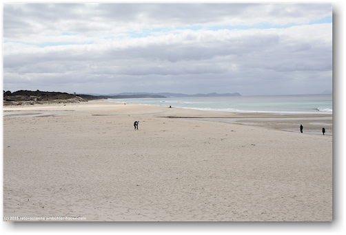 sandstrand an der pakiri beach