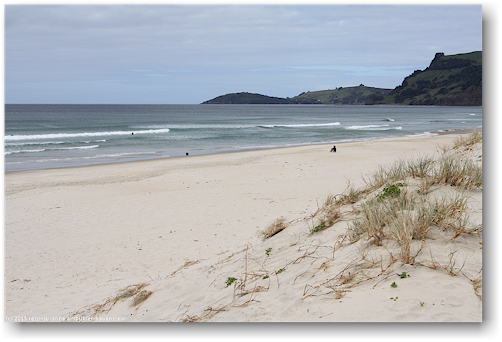 sandstrand an der pakiri beach