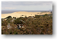 kueste mit sandduene bei mangawhai