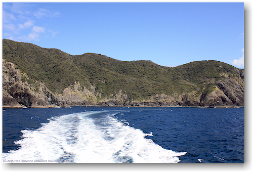 kueste in der bay of island