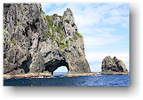 hole in the rock in der motukokako island (piercy island) beim cape brett in der bay of island