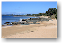 kueste mit strand bei mangonui