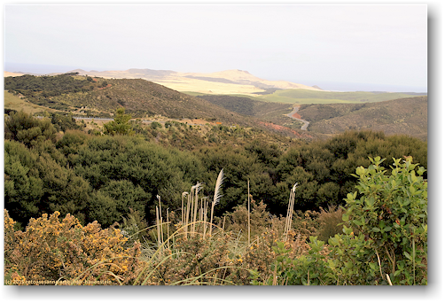 highway 1 richtung cape reinga