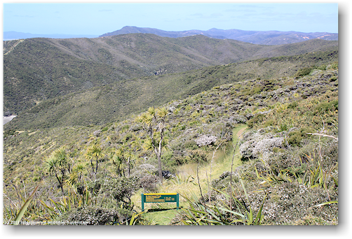 huegelkette bei cape reinga
