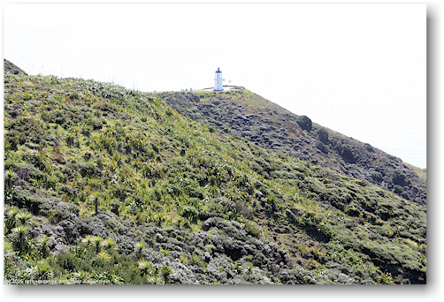 leuchtturm bei cape reinga