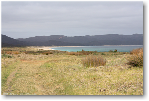 kueste in der spirits bay
