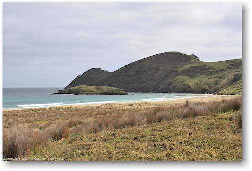 kueste in der spirits bay