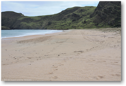 sandstrand in der spirits bay