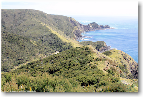 kueste zwischen tapotupotu bay und cape reinga