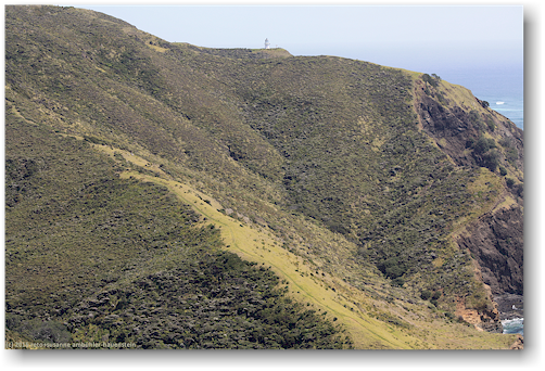 leuchtturm bei cape reinga
