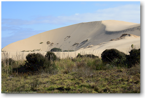sandduene bei te paki