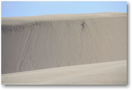 sandduene bei te paki