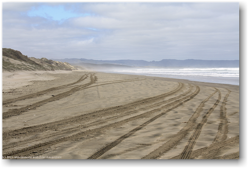 sandstrand an der 90 mile beach