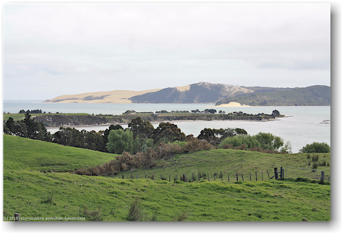 hokianga harbour