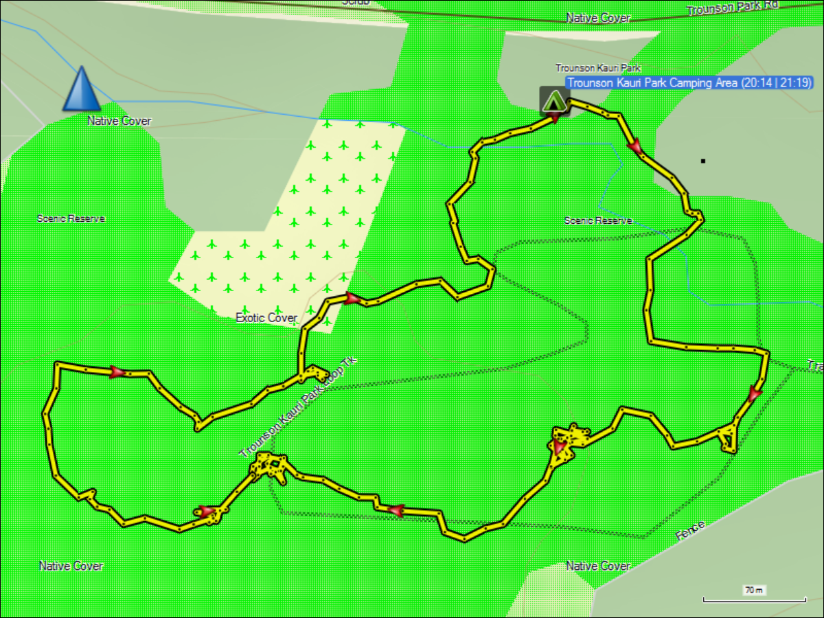 wegstrecke der kiwi-pirsch auf dem trounson kauri park loop track