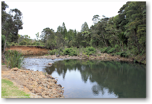 waipoua river beim visitor center