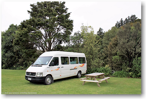 unser campervan auf dem kauri coast top 10 holiday park bei waipoua
