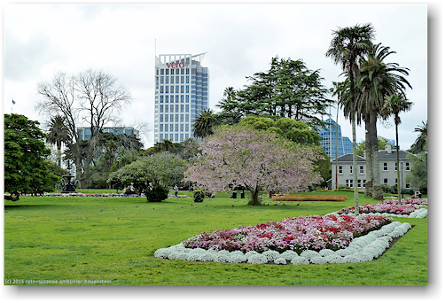albert park in auckland