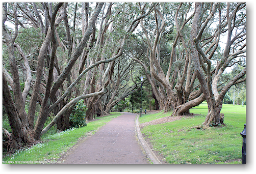 weg auf der auckland domain