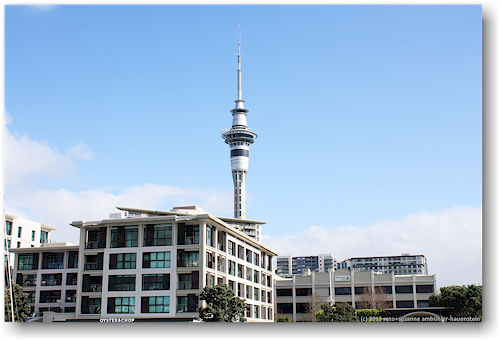 blick von der waterfront auf den sky tower in auckland
