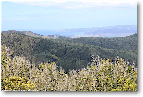 ausblick vom kaipawa trig am highway 25