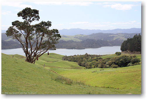 ausblick vom highway 25 bei manaia auf die firth of thames