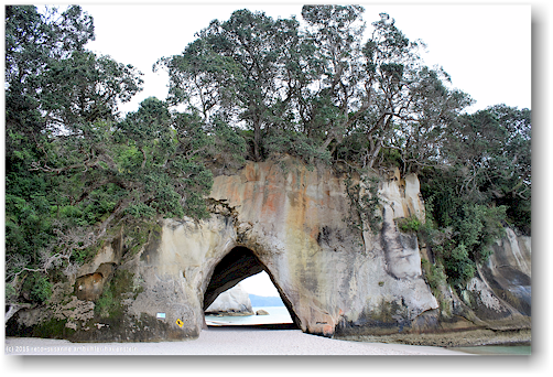suedseite der cathedral cove (whanganuia hei) im cathedral cove recreation reserve
