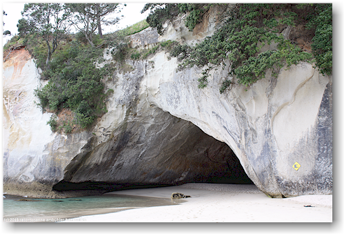 nordseite der cathedral cove (whanganuia hei) im cathedral cove recreation reserve