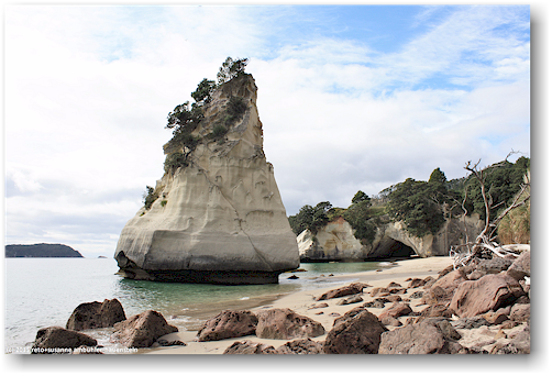 kueste auf der nordseite der cathedral cove im cathedral cove recreation reserve