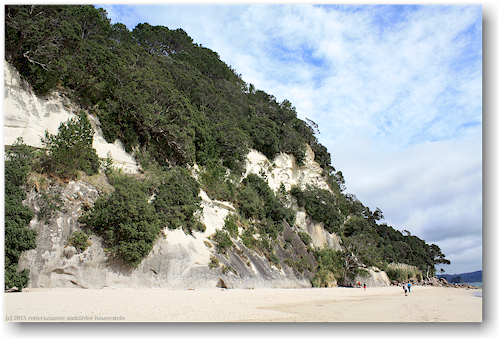 sandstrand auf der nordseite der cathedral cove im cathedral cove recreation reserve
