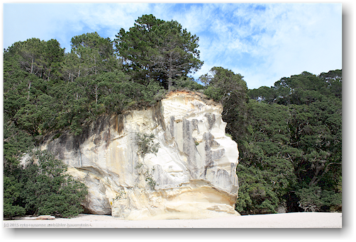 steilkueste auf der suedseite der cathedral cove im cathedral cove recreation reserve