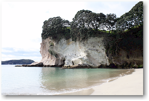 strand und steilkueste auf der suedseite der cathedral cove im cathedral cove recreation reserve