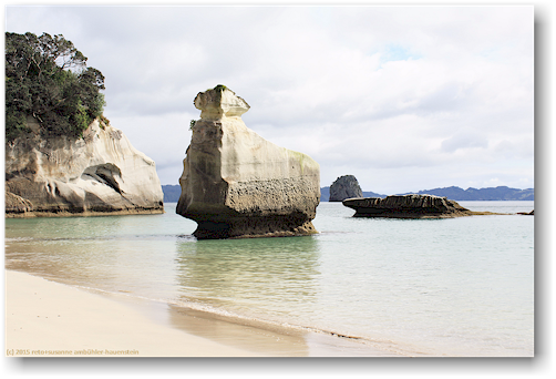 strand auf der suedseite der cathedral cove im cathedral cove recreation reserve