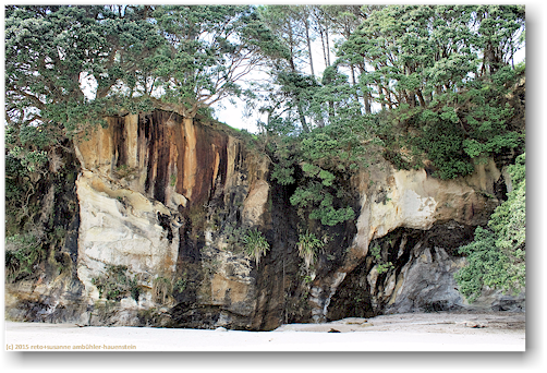 steilkueste auf der suedseite der cathedral cove im cathedral cove recreation reserve