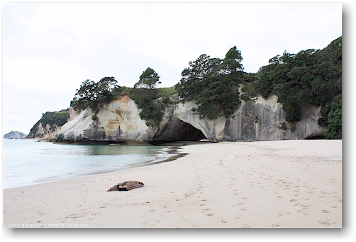 sandstrand auf der nordseite der cathedral cove im cathedral cove recreation reserve