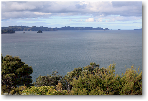 cooks bay