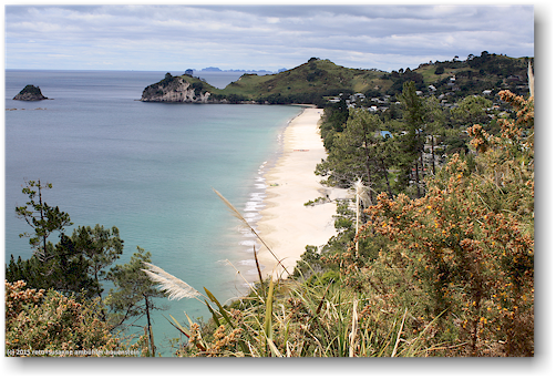 hahei beach