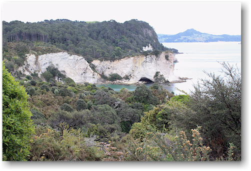 stingray bay