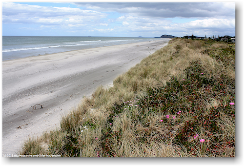 sandstrand bei waihi beach