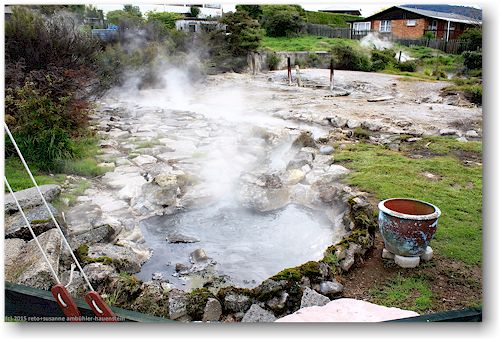 garten mit heisser quelle in rotorua