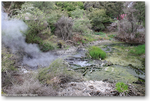 bach im kuirau park in rotorua
