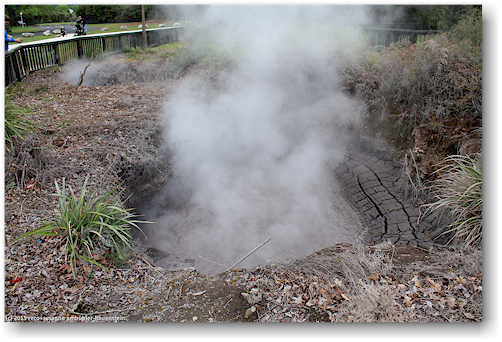 dampfendes schlammloch im kuirau park in rotorua