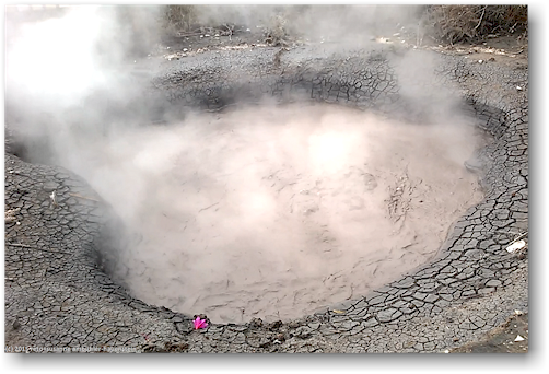 kurzfilm dampfendes schlammloch im kuirau park in rotorua