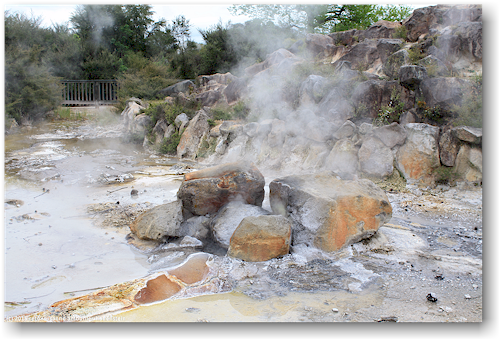 dampfende steine im kuirau park in rotorua