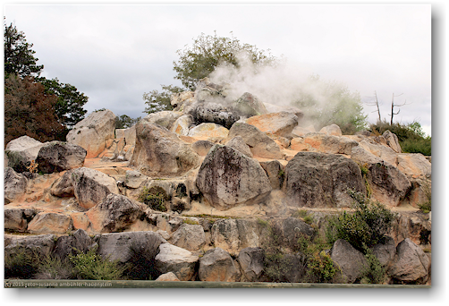 dampfende steine im kuirau park in rotorua
