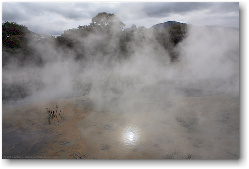 dampfender weiher im kuirau park in rotorua