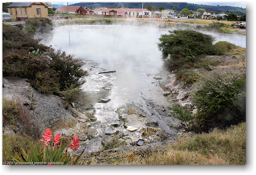 weiher mit heissem wasser bei ohinemutu marae in rotorua