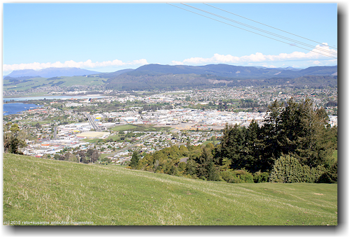 aussicht vom mount ngongotaha scenic reserve auf rotorua